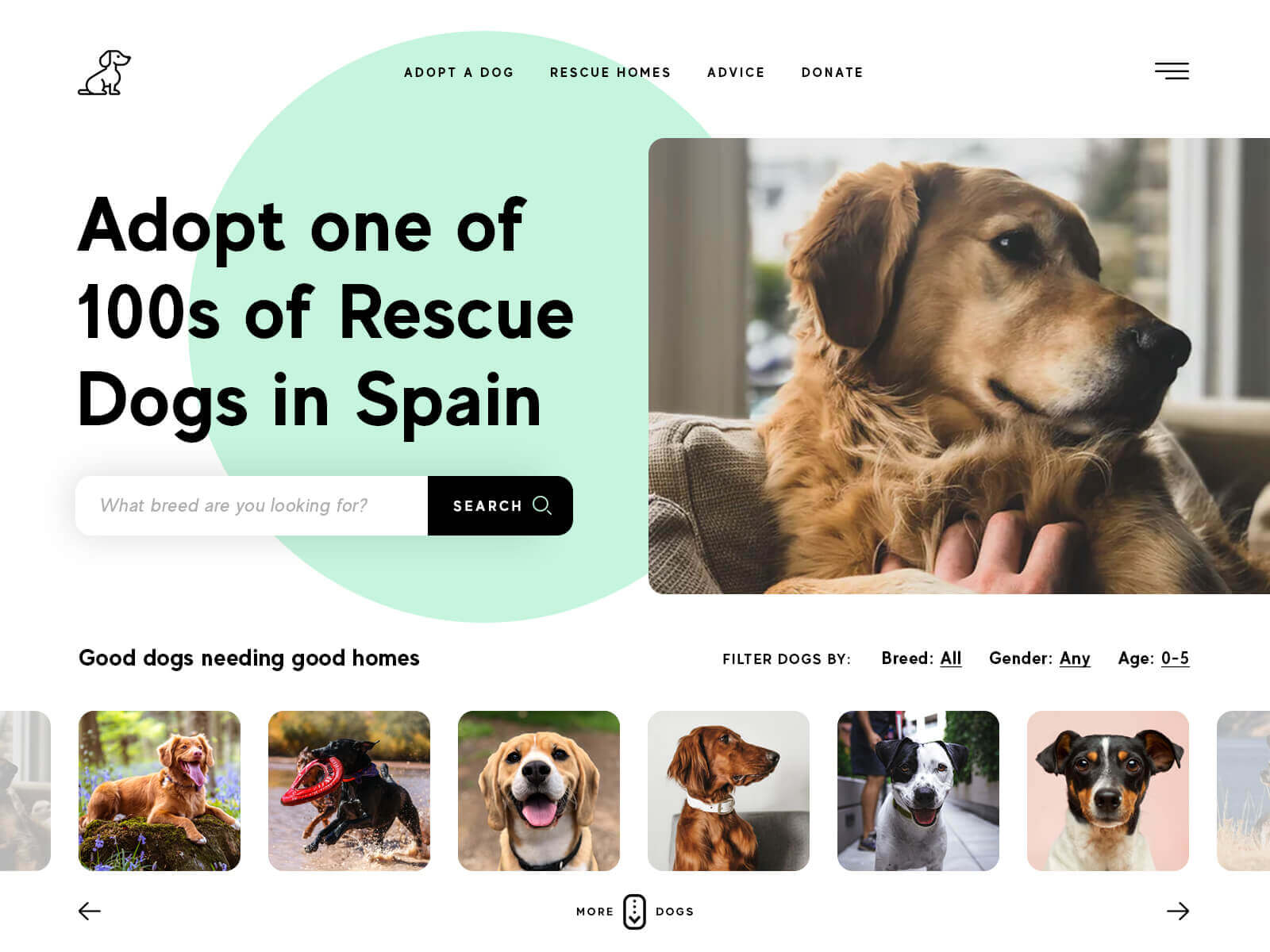Adoptable Website for Dog Rescue in Spain · Jack M