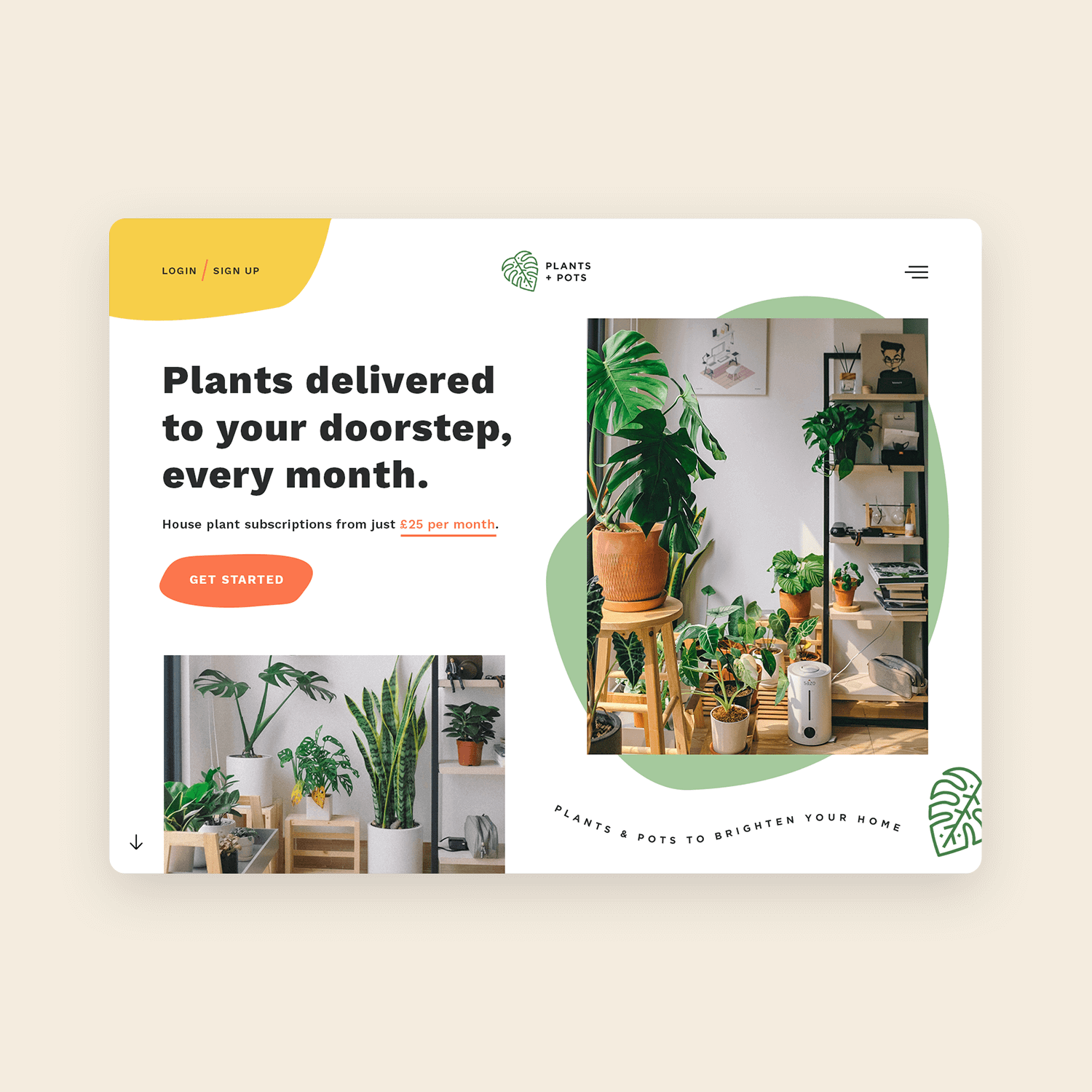 Jack Morrell · sites & Branding for Sustainable Brands & Nonprofits